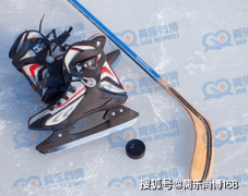 行业研究：2024年全球板球和曲棍球活动器材市场