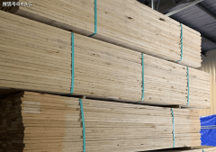 2024年南方松木出口增加显著岁尾略有回落