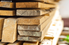 五省发出木材价钱上涨信号！