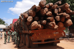 莫桑比克颁布发表提高木材采伐配额此前对中国